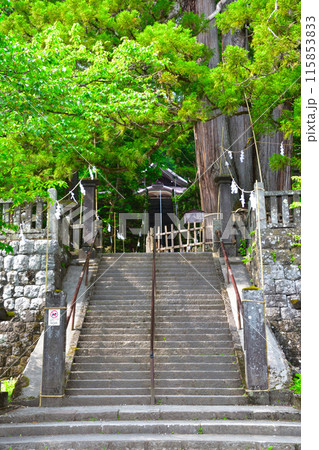 戸隠神社 中社 戸隠神社 中社 115853833