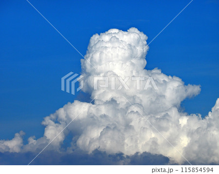 夏雲 115854594