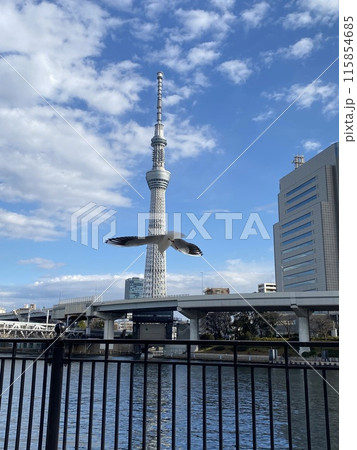 スカイツリーに向かう鳥 スカイツリーに向かう鳥 115854685