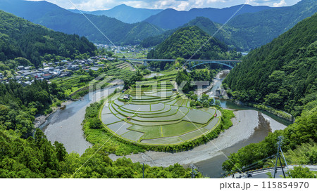 あらぎ島 あらぎ島 115854970