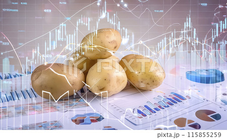 CGイラスト　ジャガイモの先物取引のイメージイラスト 115855259