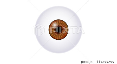 Iris medical poster 115855295