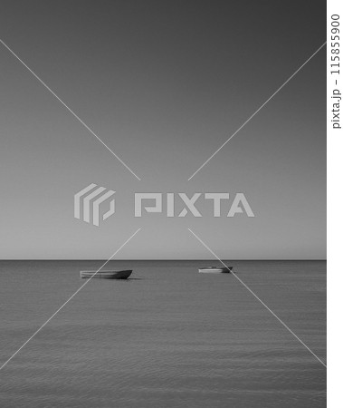 Empty boats of sea fishermen against the background of the sky and horizon. 115855900
