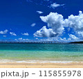 沖縄の海と橋 115855978