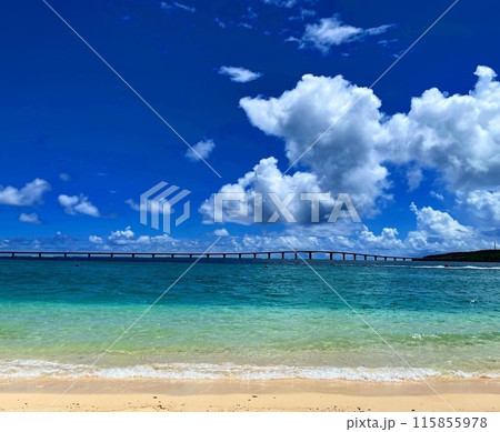 沖縄の海と橋 115855978