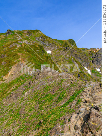初夏の谷川岳西黒尾根と岩稜帯を登る登山者 115856273