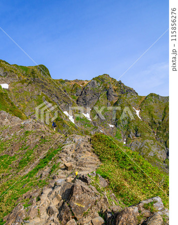 初夏の谷川岳西黒尾根と岩稜帯を登る登山者 初夏の谷川岳西黒尾根と岩稜帯を登る登山者 115856276