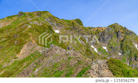 初夏の谷川岳西黒尾根と岩稜帯を登る登山者 115856279