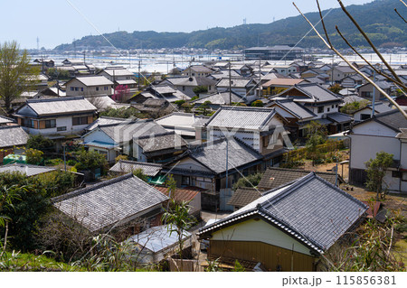 【重要伝統的建造物群保存地区】土居廓中 安芸城から見た街並み 高知県安芸市 【重要伝統的建造物群保存地区】土居廓中 安芸城から見た街並み 高知県安芸市 115856381