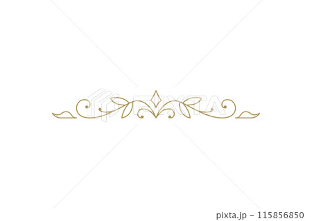 Vintage ornament swirl text divider filigree calligraphic vector illustration 115856850