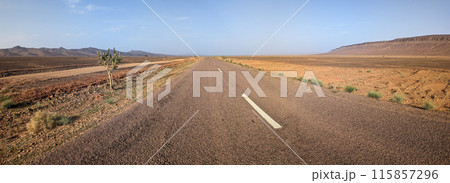 Panorama of an empty long straight road in south Morocco, surrounded by an arid landscape Panorama of an empty long straight road in south Morocco, surrounded by an arid landscape 115857296
