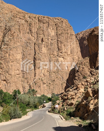 A road leading to famous Todra gorge in the Atlas mountains 115857407