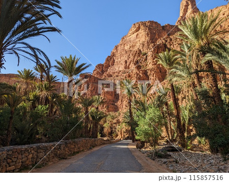 Great panoramic landscape of the Anti-Atlas mountains 115857516