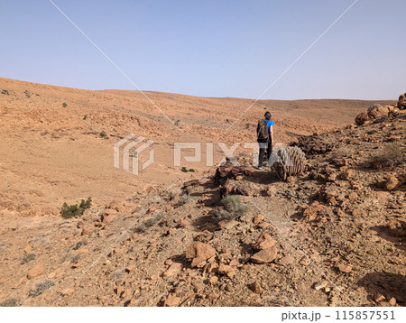 Great panoramic landscape of the Anti-Atlas mountains 115857551