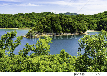 伯方島　船折瀬戸　愛媛県今治市 115857735