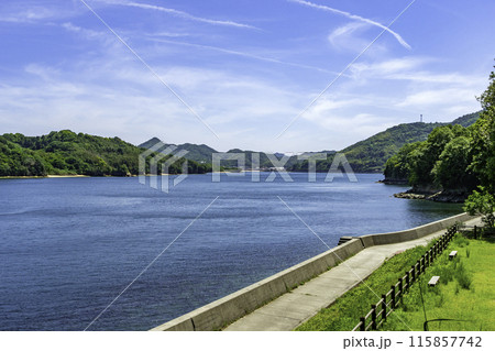 伯方島 船折瀬戸 愛媛県今治市 伯方島 船折瀬戸 愛媛県今治市 115857742