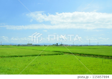 JR東日本越後線吉田駅から越後赤塚駅までの車窓風景(2022年夏) JR東日本越後線吉田駅から越後赤塚駅までの車窓風景(2022年夏) 115857894