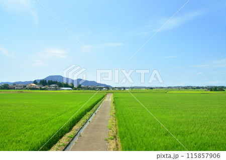 JR東日本越後線吉田駅から越後赤塚駅までの車窓風景(2022年夏) 115857906