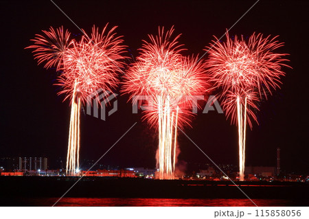 大阪泉州夏祭り泉州夢花火(大阪府泉南市) 大阪泉州夏祭り泉州夢花火(大阪府泉南市) 115858056