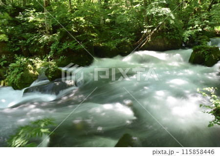 奥入瀬渓流 十和田湖 東北 青森 十和田 渓流 国立公園 十和田八幡平 奥入瀬渓流 十和田湖 東北 青森 十和田 渓流 国立公園 十和田八幡平 115858446