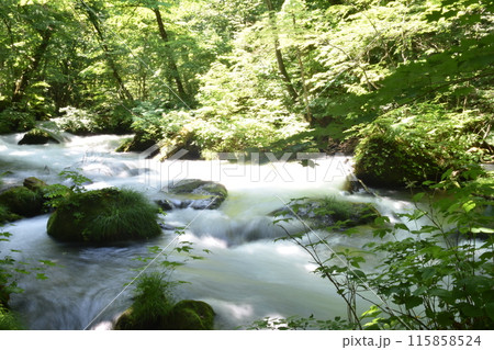 奥入瀬渓流 十和田湖 東北 青森 十和田 渓流 国立公園 十和田八幡平 奥入瀬渓流 十和田湖 東北 青森 十和田 渓流 国立公園 十和田八幡平 115858524