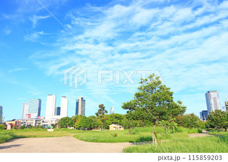 愛知県名古屋市、米野公園と名古屋駅前超高層ビル群の風景 115859203