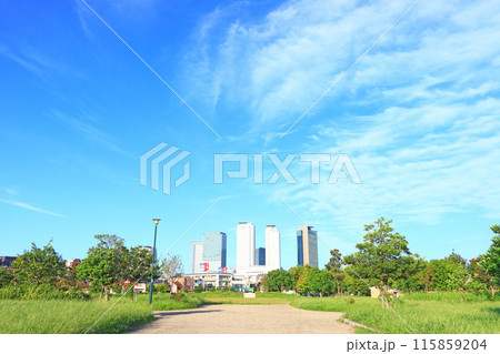 愛知県名古屋市、米野公園と名古屋駅前超高層ビル群の風景 115859204