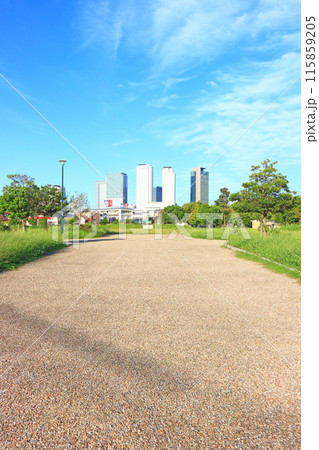愛知県名古屋市、米野公園と名古屋駅前超高層ビル群の風景 115859205