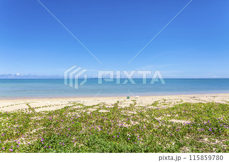 沖縄県、海、青空 沖縄県、海、青空 115859780