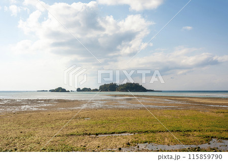 沖縄県、海、青空 沖縄県、海、青空 115859790