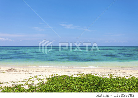 沖縄県、海、青空 115859792