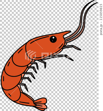 illustration of cartoon shrimp illustration of cartoon shrimp 115859815