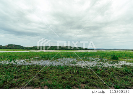 View of Chiang Saen lake 115860183