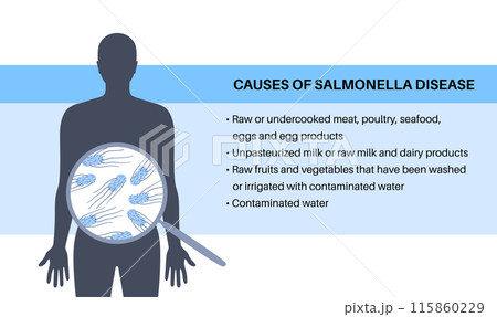 .Salmonella Typhimurium Cells 115860229