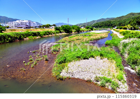 箕輪橋／天竜川より上流方向を望む(長野県箕輪町)【2024.6】 115860319