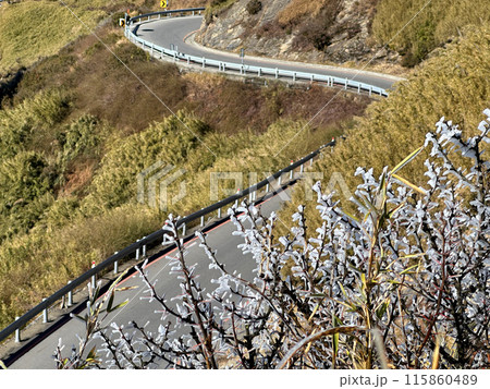 山道 山岳道路 やまみち 115860489