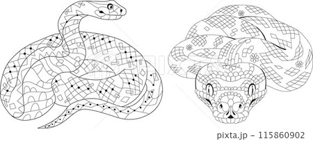 Zentangle snakes for coloring pages. Hand drawn decorative vector illustration. Zentangle snakes for coloring pages. Hand drawn decorative vector illustration. 115860902
