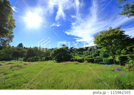 紫陽花が咲く7月の野呂山高原 115862105