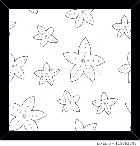 Starfish Vector Seamless Pattern. Outline Doodle illustration of sea star Background. Black and white line art. Hand drawn graphic sketch. Linear print drawing for wrapping paper and fabric Starfish Vector Seamless Pattern. Outline Doodle illustration of sea star Background. Black and white line art. Hand drawn graphic sketch. Linear print drawing for wrapping paper and fabric 115862305