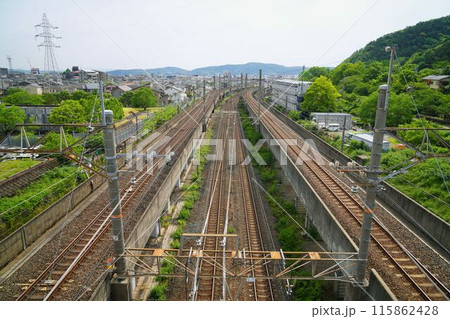 日本の大動脈 日本の大動脈 115862428