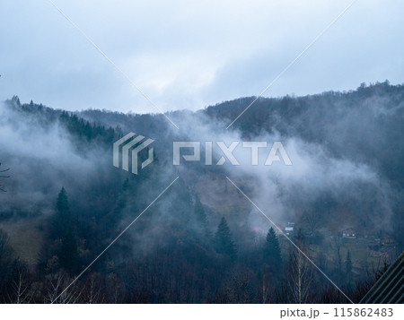 Misty Carpathian Mountains fog landscape Foggy morning green fir trees Scenic forest rainy day Calm tranquil Carpathians 115862483