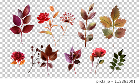 Set of colourful botanical flowers and leaves in watercolor paint style on a transparent background. Isolated flowers and leaves for decoration elements in red and orange colors. Set of colourful botanical flowers and leaves in watercolor paint style on a transparent background. Isolated flowers and leaves for decoration elements in red and orange colors. 115863001