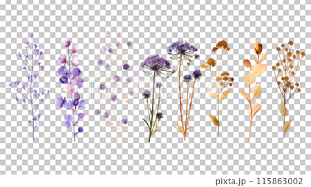 Set of colourful botanical flowers and branches in watercolor paint style on a transparent background. Isolated flowers and leaves for decoration elements in orange and violet colors. Set of colourful botanical flowers and branches in watercolor paint style on a transparent background. Isolated flowers and leaves for decoration elements in orange and violet colors. 115863002