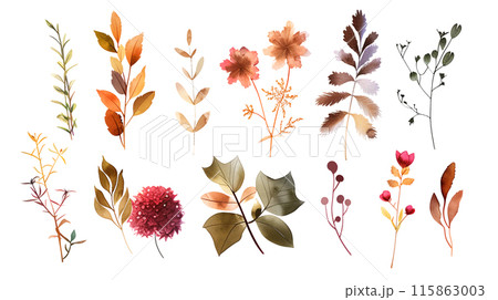 Set of colourful botanical flowers and leaves in watercolor paint style on a transparent background. Isolated flowers and leaves for decoration elements in pastel red and orange colors. Set of colourful botanical flowers and leaves in watercolor paint style on a transparent background. Isolated flowers and leaves for decoration elements in pastel red and orange colors. 115863003