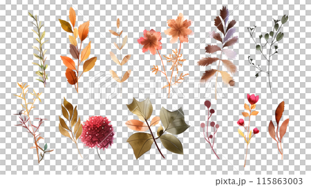 Set of colourful botanical flowers and leaves in watercolor paint style on a transparent background. Isolated flowers and leaves for decoration elements in pastel red and orange colors. Set of colourful botanical flowers and leaves in watercolor paint style on a transparent background. Isolated flowers and leaves for decoration elements in pastel red and orange colors. 115863003