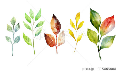 Set of colourful botanical leaves in watercolor paint style on a transparent background. Isolated flowers and leaves for decoration elements in yellow, orange and green colors. Set of colourful botanical leaves in watercolor paint style on a transparent background. Isolated flowers and leaves for decoration elements in yellow, orange and green colors. 115863008