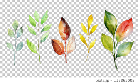 Set of colourful botanical leaves in watercolor paint style on a transparent background. Isolated flowers and leaves for decoration elements in yellow, orange and green colors. Set of colourful botanical leaves in watercolor paint style on a transparent background. Isolated flowers and leaves for decoration elements in yellow, orange and green colors. 115863008