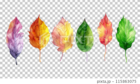 Set of colourful botanical leaves in watercolor paint style on a transparent background. Isolated flowers and leaves for decoration elements in purple, red, orange and green colors. 115863075