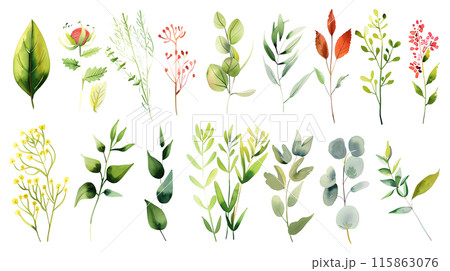 Set of colourful botanical leaves in watercolor paint style on a transparent background. Isolated flowers and leaves for decoration elements in purple, red, orange and green colors. 115863076