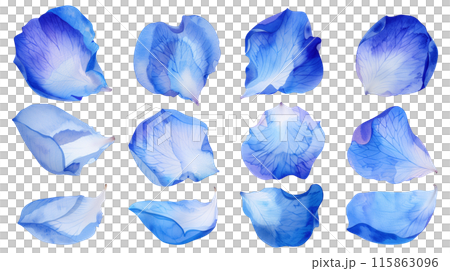 Set of isolated blue rose petals in watercolor painting style on a transparent background. Set of isolated blue rose petals in watercolor painting style on a transparent background. 115863096